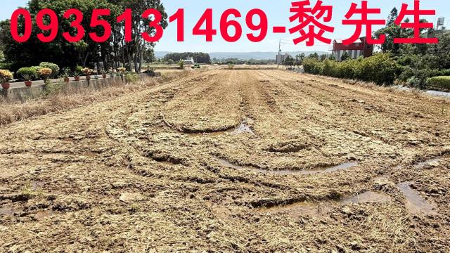 楊梅農地-14