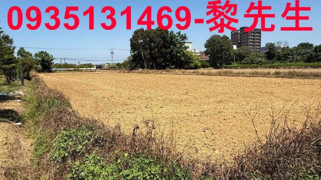 楊梅農地-4