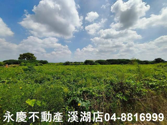 秀水農地-9