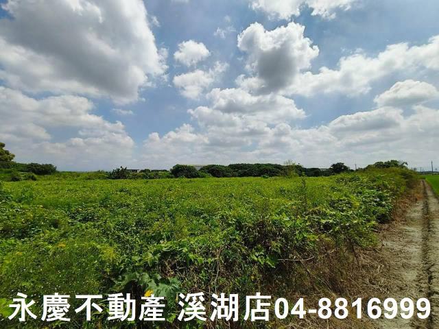 秀水農地-10