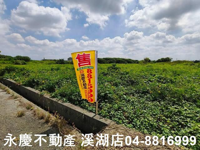 秀水農地-2