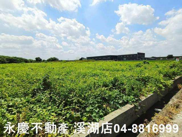 秀水農地-3