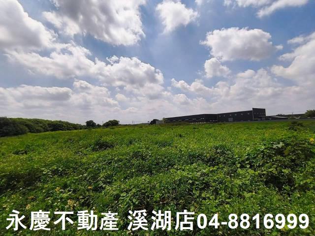秀水農地-4