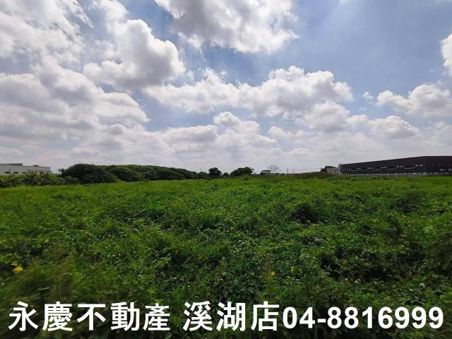 秀水農地-6