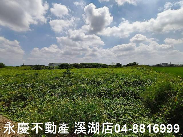 秀水農地-7