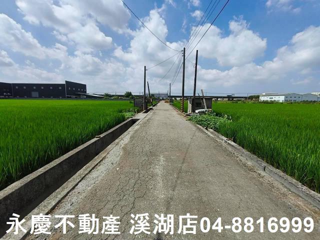 秀水農地-8