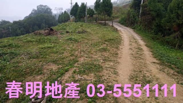 苗栗道路地-1