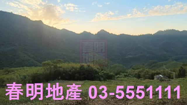苗栗道路地-2
