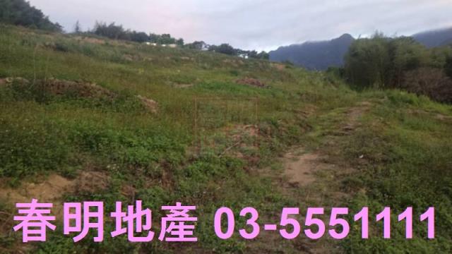 苗栗道路地-3
