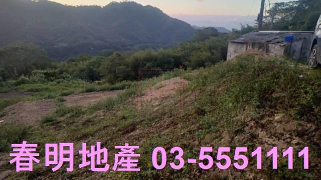 苗栗道路地-5