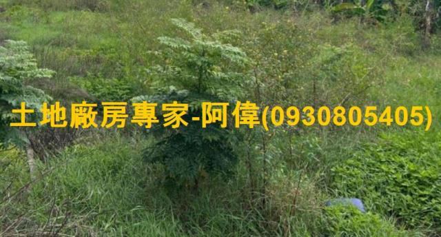 高雄農地-0