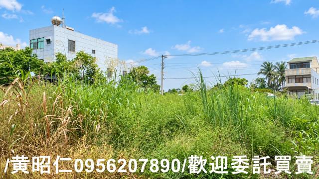 台南官田建地-5