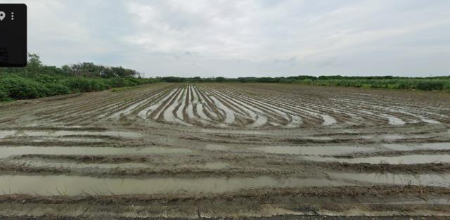 雲林縣東勢鄉程海村法拍農舍地