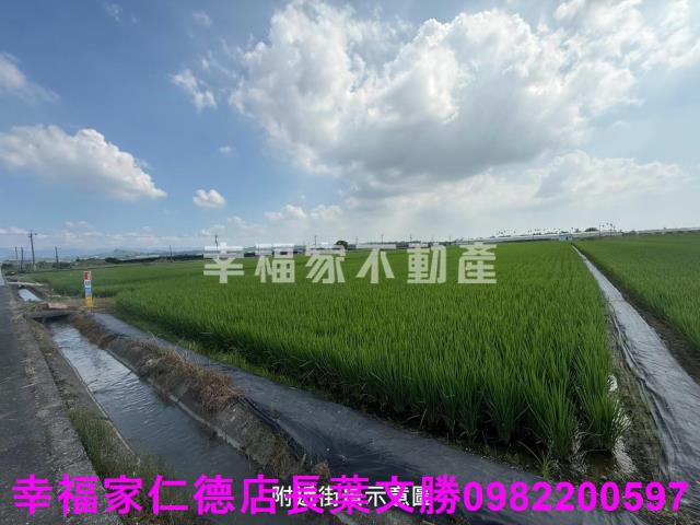台南柳營農地-0