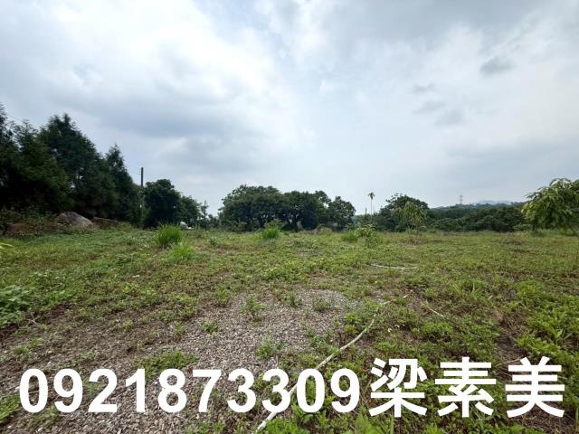台南東山農地-6