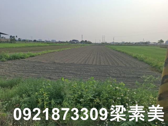 台南善化農地-4