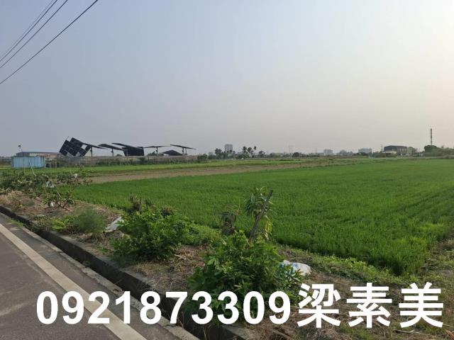 台南善化農地-6