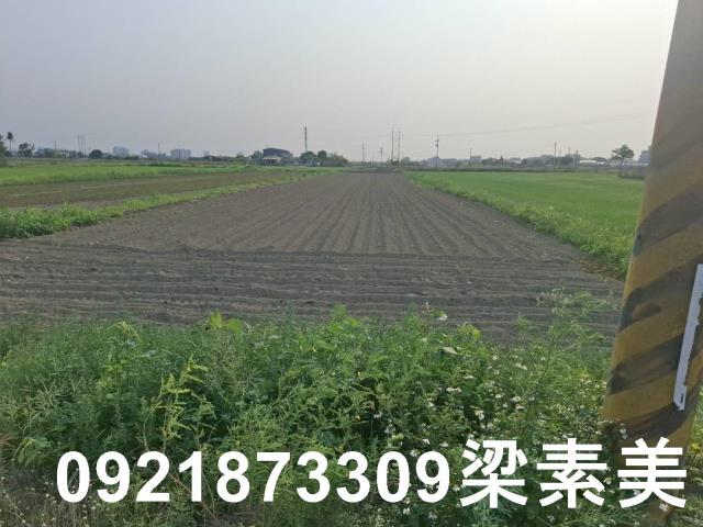 台南善化農地-8