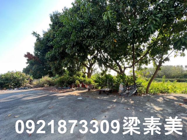 台南新市農地-2