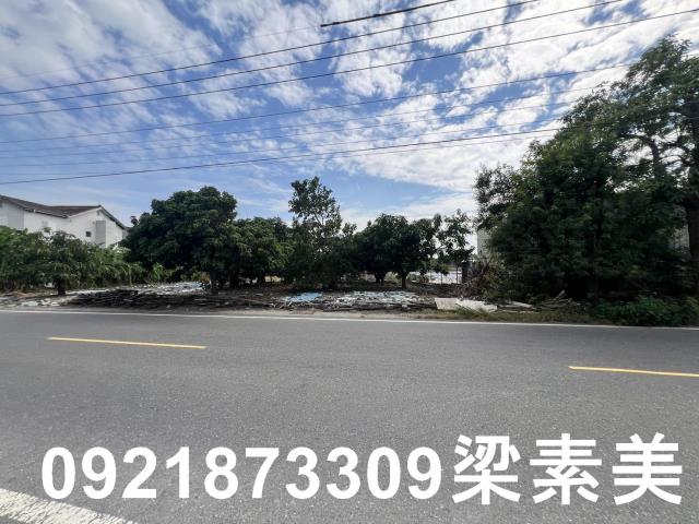 安南農地-10