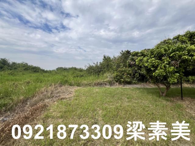 安南農地-0