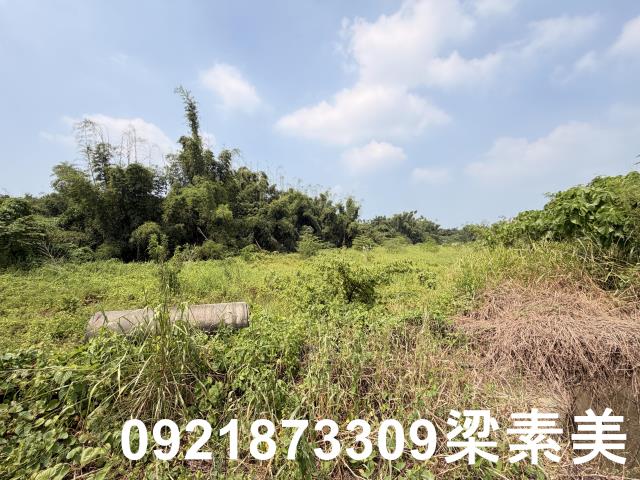 歸仁農地-0