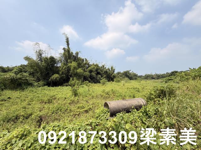 歸仁農地-2