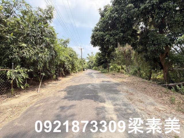 歸仁農地-4