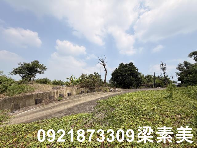 歸仁農地-7