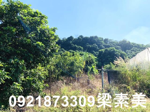 楠西農地-11