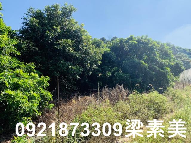 楠西農地-12