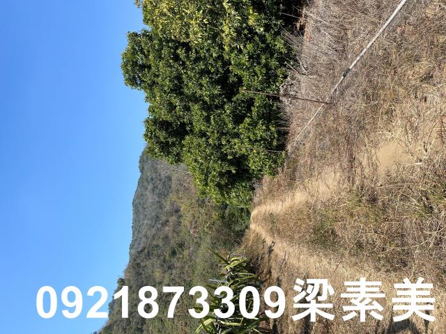 楠西農地-0