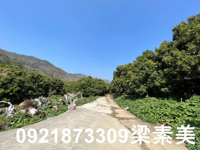 楠西農地-1