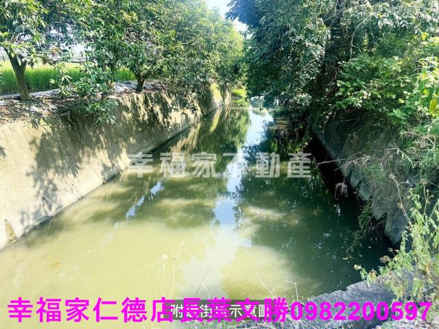 柳營農地-9