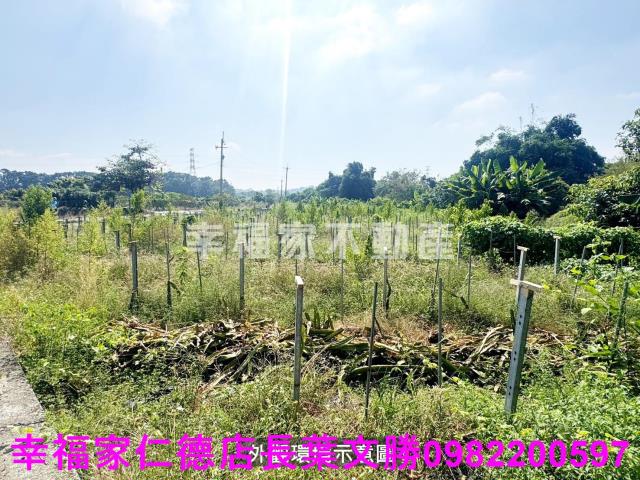 柳營農地-13