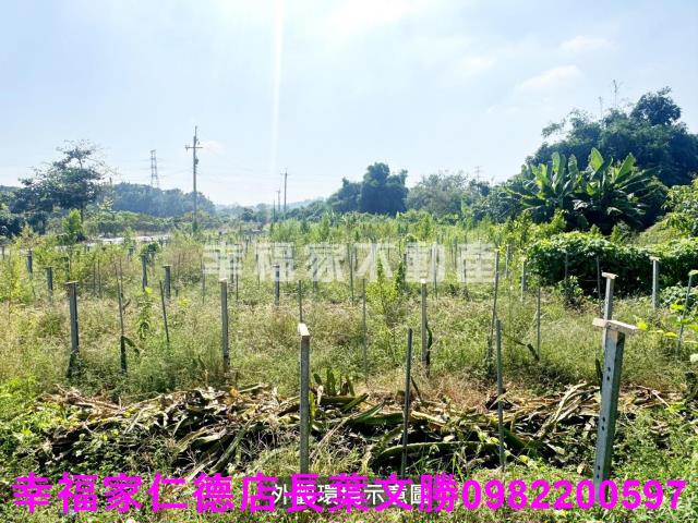 柳營農地-14