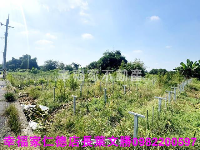 柳營農地-2