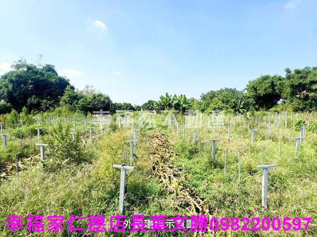 柳營農地-8