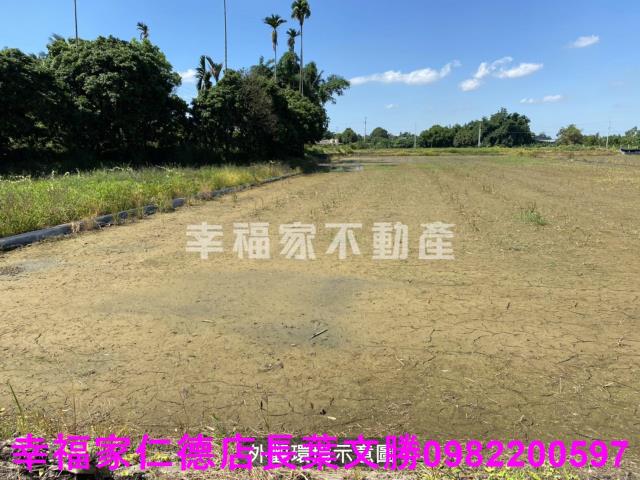 柳營農地-0
