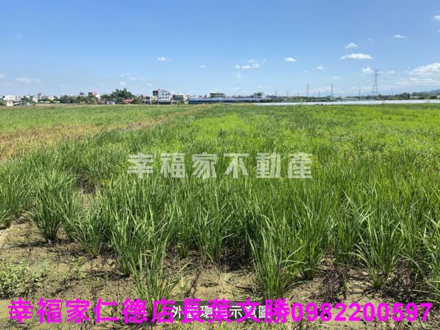柳營農地-8