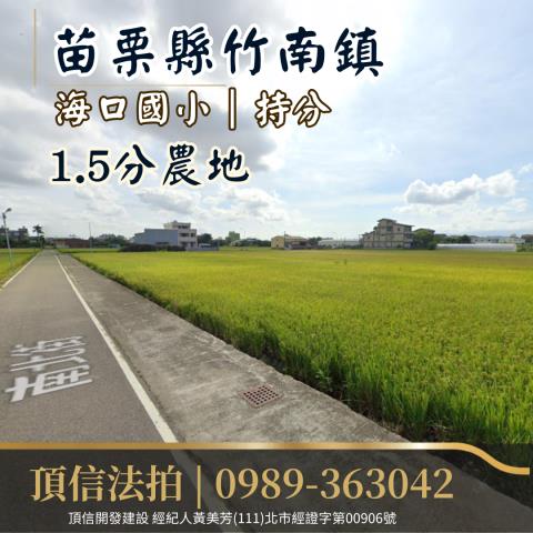 竹南法拍農地-1