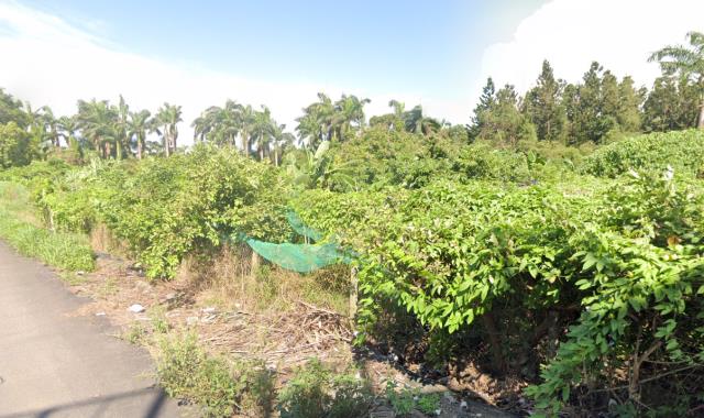 永康學校用地-10
