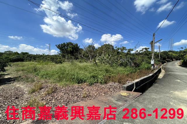 嘉義竹崎農地-4