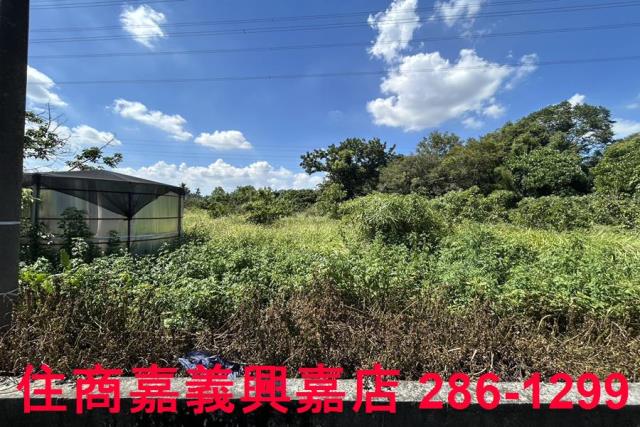 嘉義竹崎農地-5