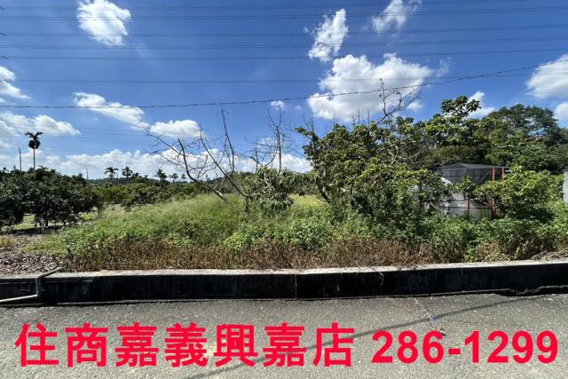 嘉義竹崎農地-6