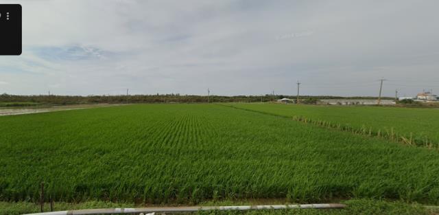 嘉義縣東石鄉龍港村法拍農保地