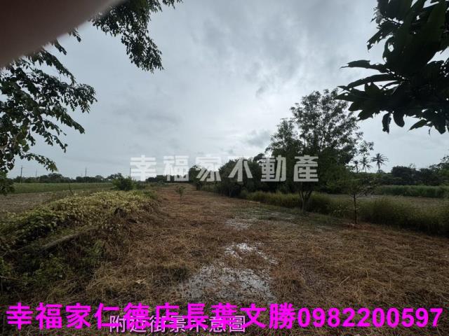 台南東山農地-2