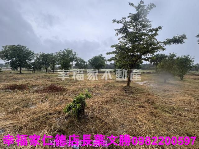 台南東山農地-4