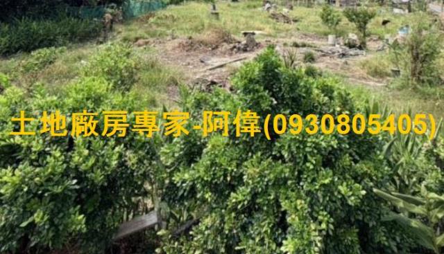 大寮農地-0