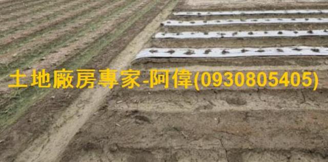 大寮農地-0
